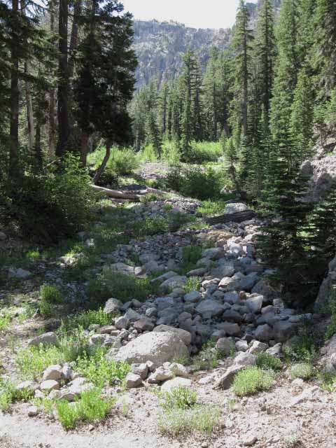 Middle Trib to Wolf Creek.